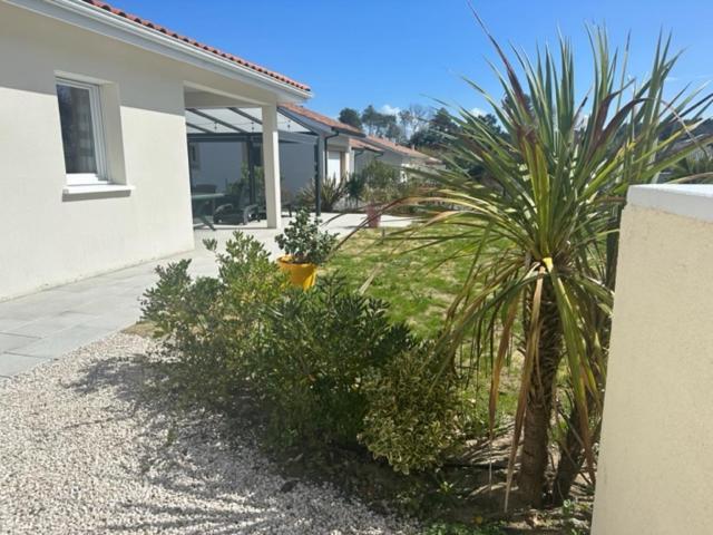 Belle Maison Malou Climatisee Calme, Piscine, Jacuzzi 3Km Plage Labenne Capbreton Екстериор снимка